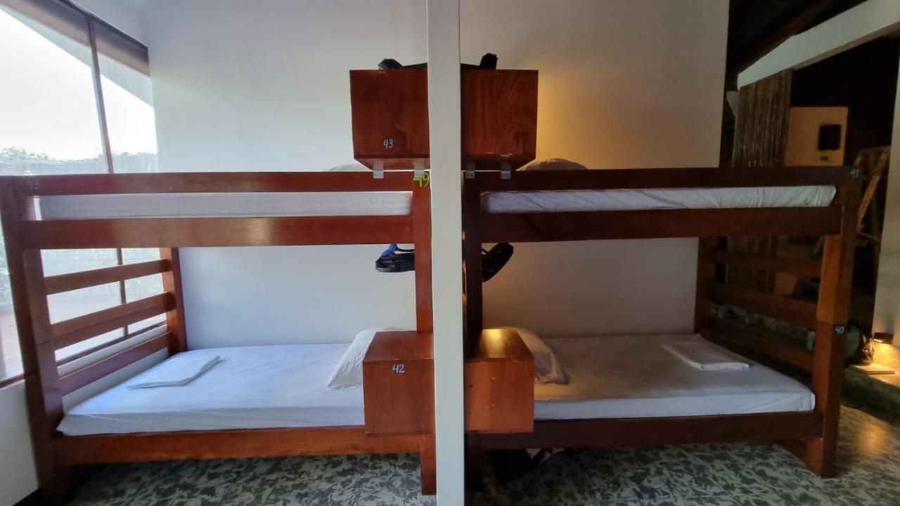 Paradiso Hostel La Laguna Екстериор снимка