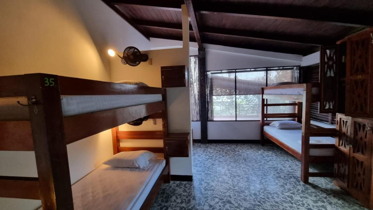 Paradiso Hostel La Laguna Екстериор снимка
