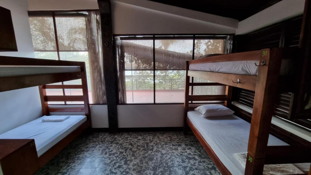 Paradiso Hostel La Laguna Екстериор снимка